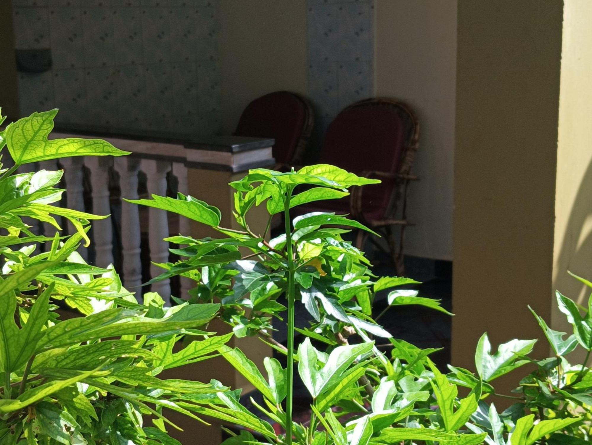 Hotel Monsoon Agonda Pokoj fotografie
