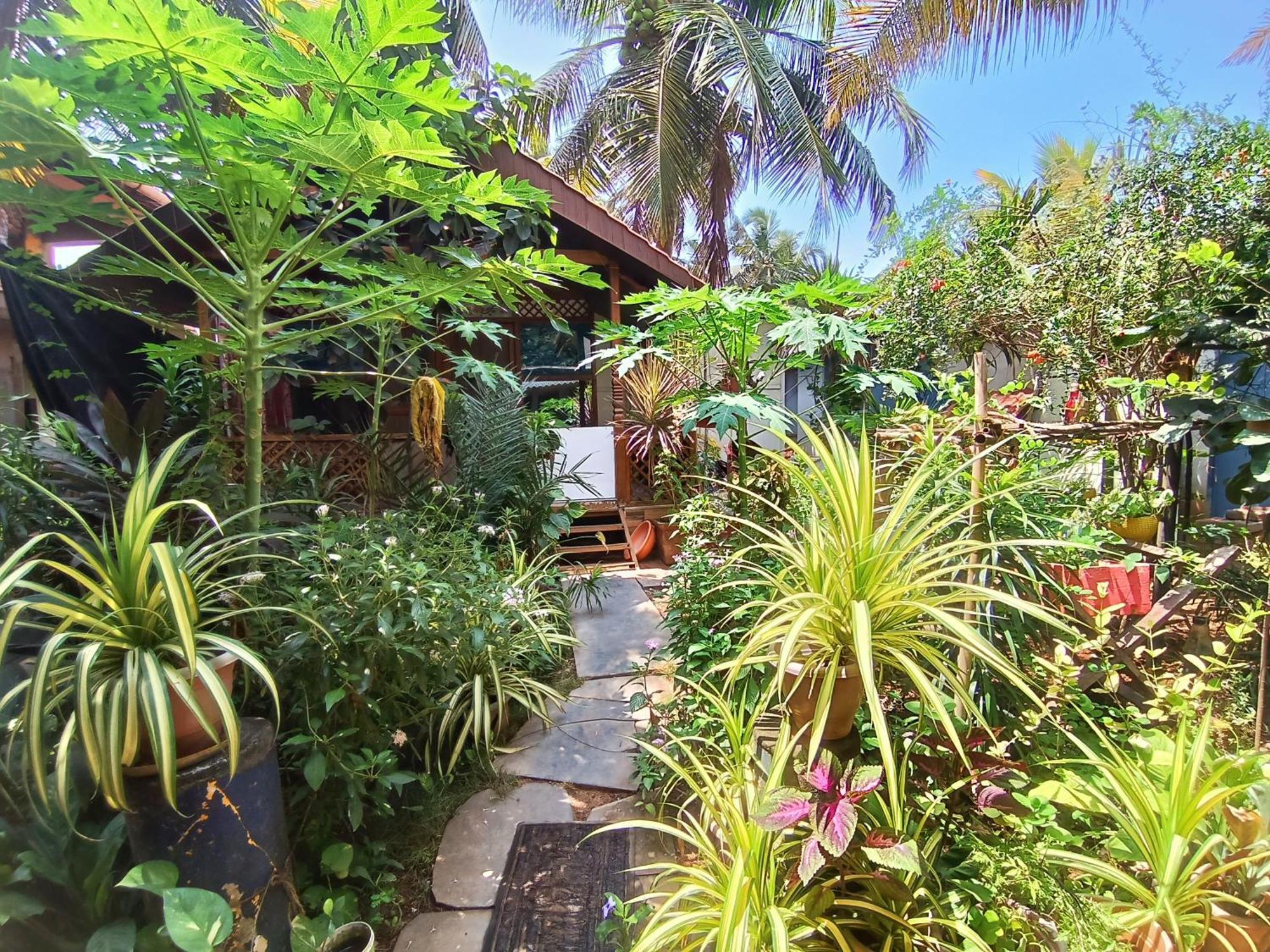 Hotel Monsoon Agonda Exteriér fotografie